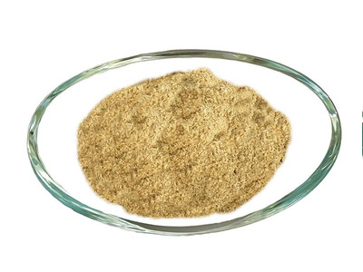 樟樹鴨醃製調(diào)味料